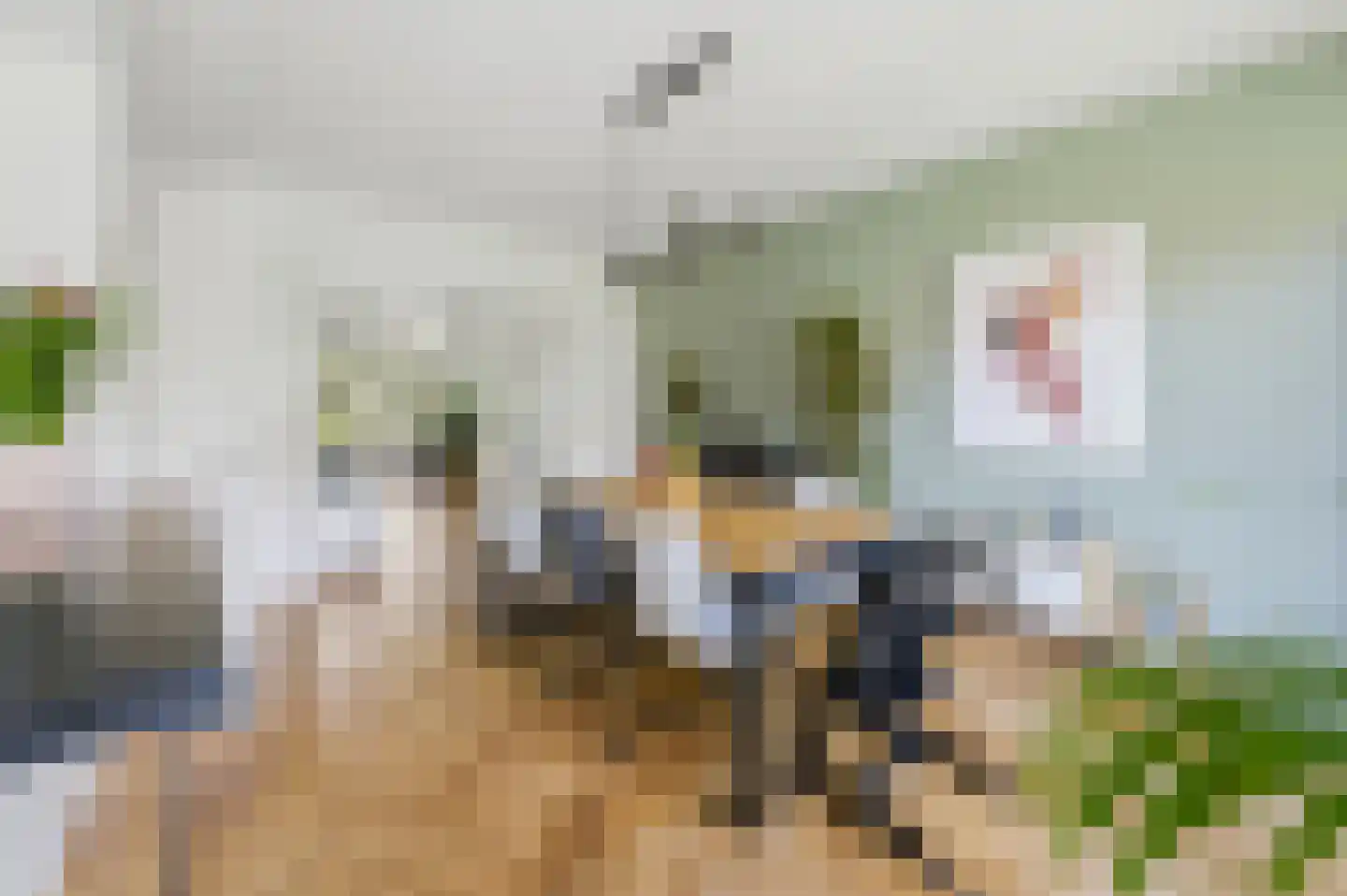 Laan van Nieuw Oosteinde 266 Voorburg thumbnail 14
