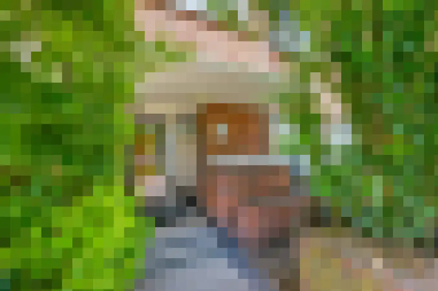 Laan van Nieuw Oosteinde 266 Voorburg thumbnail 5