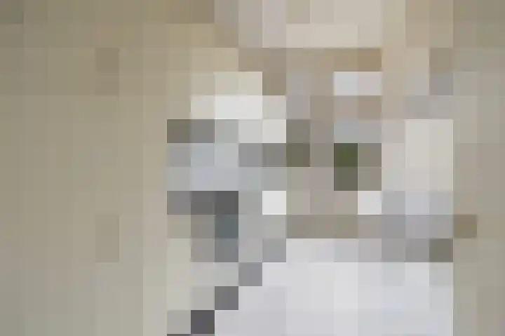 Laan van Nieuw Oosteinde 271 Voorburg thumbnail 16