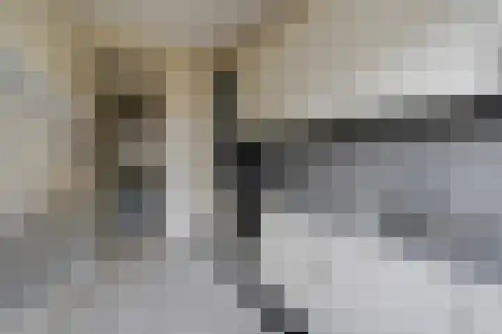 Laan van Nieuw Oosteinde 271 Voorburg thumbnail 17