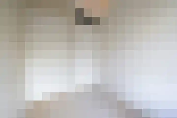 Laan van Nieuw Oosteinde 271 Voorburg thumbnail 32