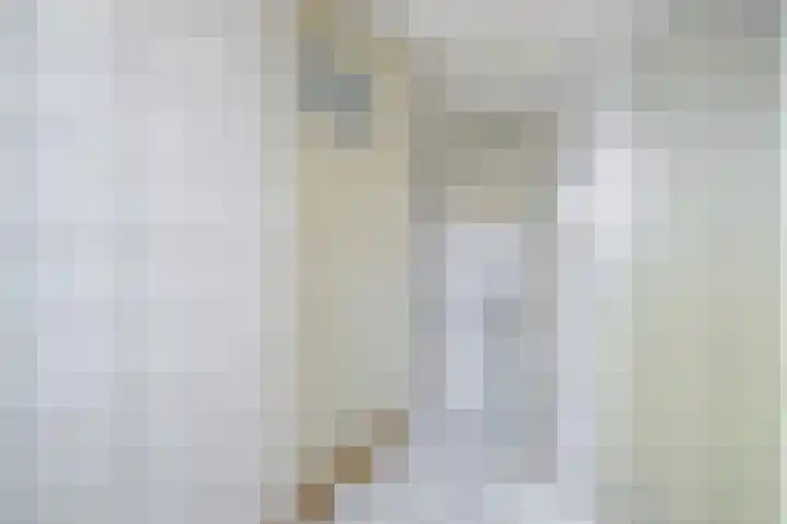 Laan van Nieuw Oosteinde 271 Voorburg thumbnail 37