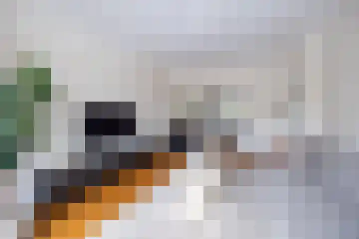 Laan van Nieuw Oosteinde 272 Voorburg thumbnail 10