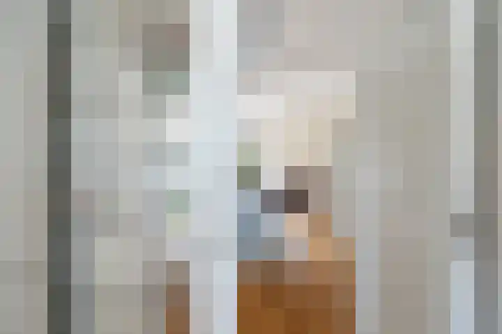 Laan van Nieuw Oosteinde 272 Voorburg thumbnail 12