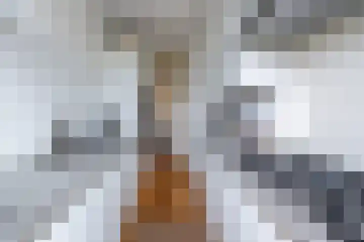 Laan van Nieuw Oosteinde 272 Voorburg thumbnail 19