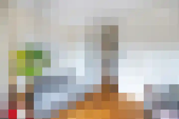 Laan van Nieuw Oosteinde 272 Voorburg thumbnail 28