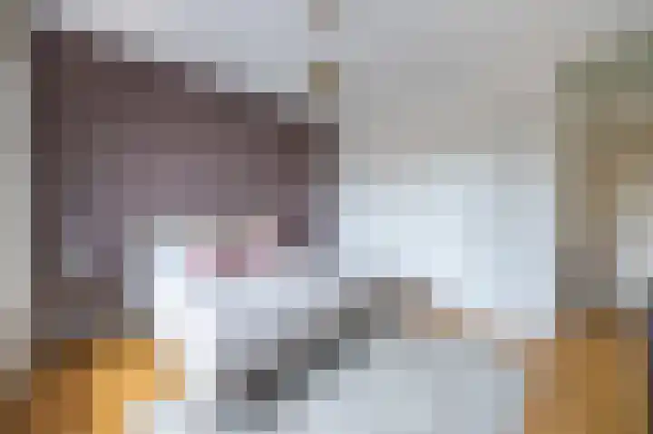 Laan van Nieuw Oosteinde 272 Voorburg thumbnail 30