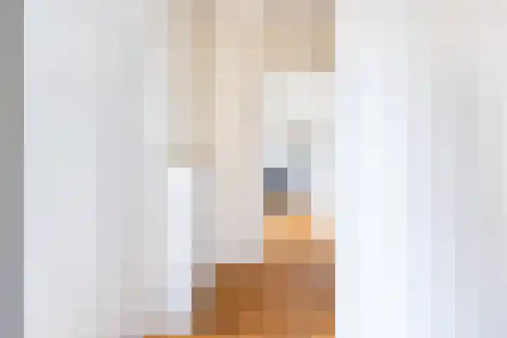 Laan van Nieuw Oosteinde 272 Voorburg thumbnail 5