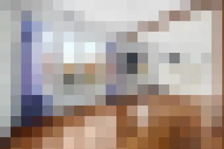 Laan van Nieuw Oosteinde 277 Voorburg thumbnail 19