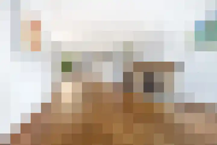 Laan van Nieuw Oosteinde 277 Voorburg foto 2