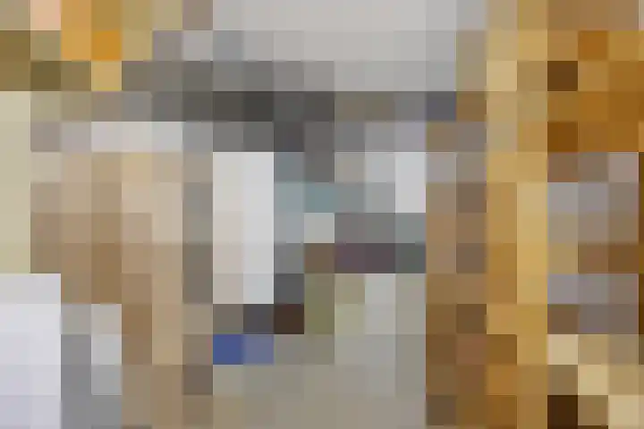 Laan van Nieuw Oosteinde 277 Voorburg thumbnail 35