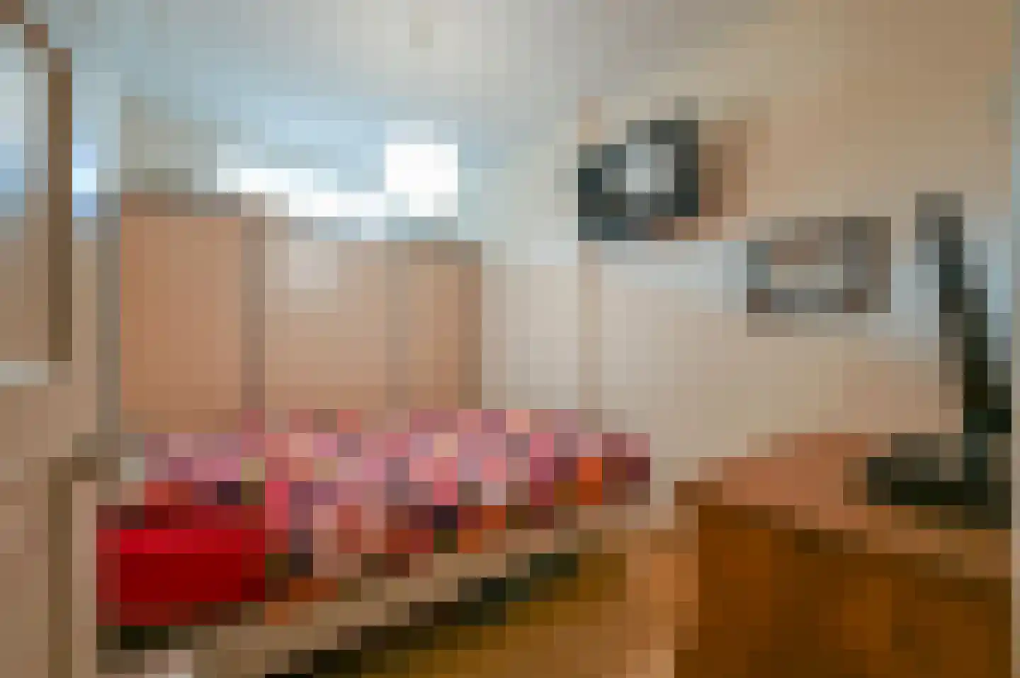Laan van Nieuw Oosteinde 304 Voorburg thumbnail 33