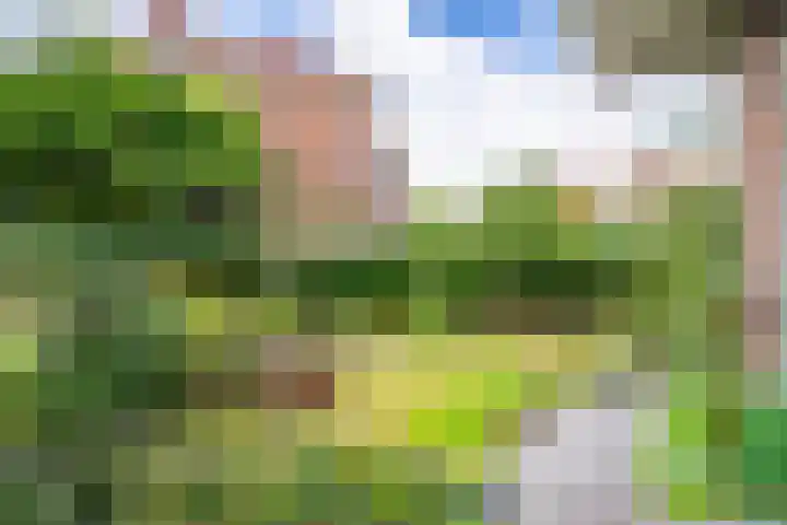 Laan van Nieuw Oosteinde 316 Voorburg thumbnail 11