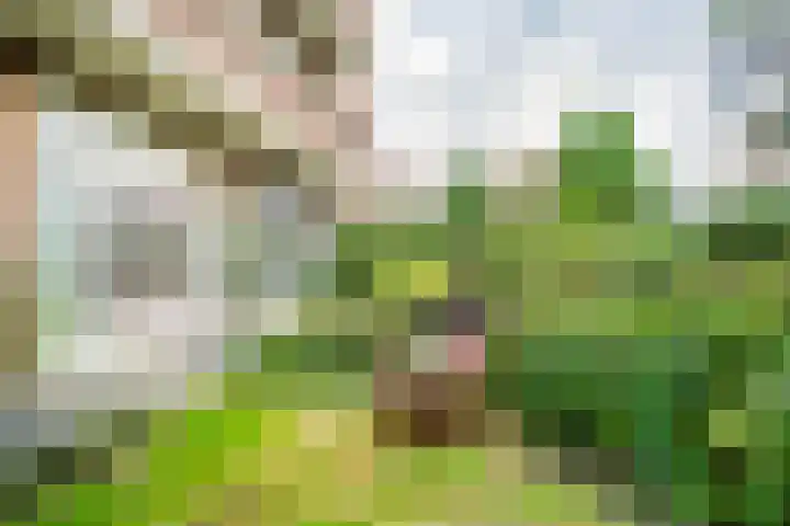 Laan van Nieuw Oosteinde 316 Voorburg thumbnail 12