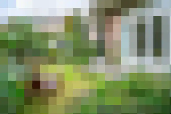 Laan van Nieuw Oosteinde 316 Voorburg thumbnail 13