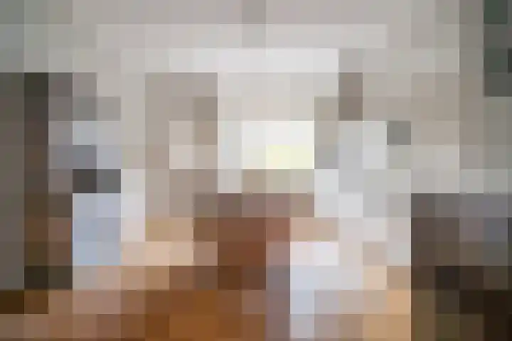 Laan van Nieuw Oosteinde 316 Voorburg thumbnail 16