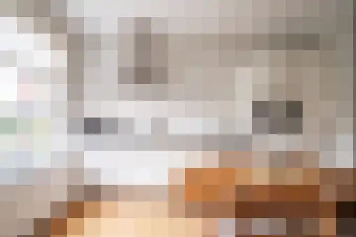 Laan van Nieuw Oosteinde 316 Voorburg thumbnail 18