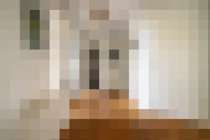 Laan van Nieuw Oosteinde 316 Voorburg thumbnail 24