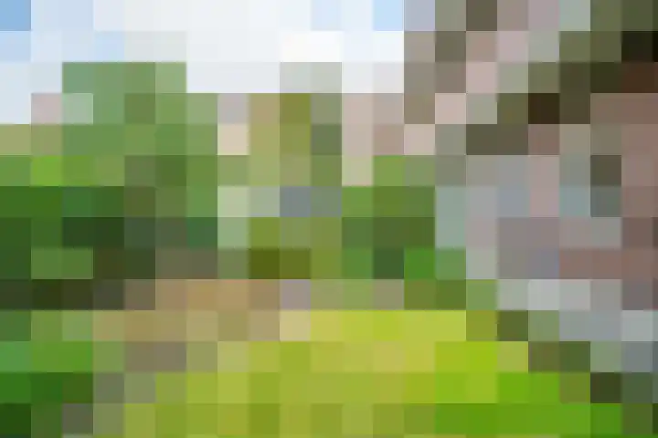 Laan van Nieuw Oosteinde 316 Voorburg thumbnail 27