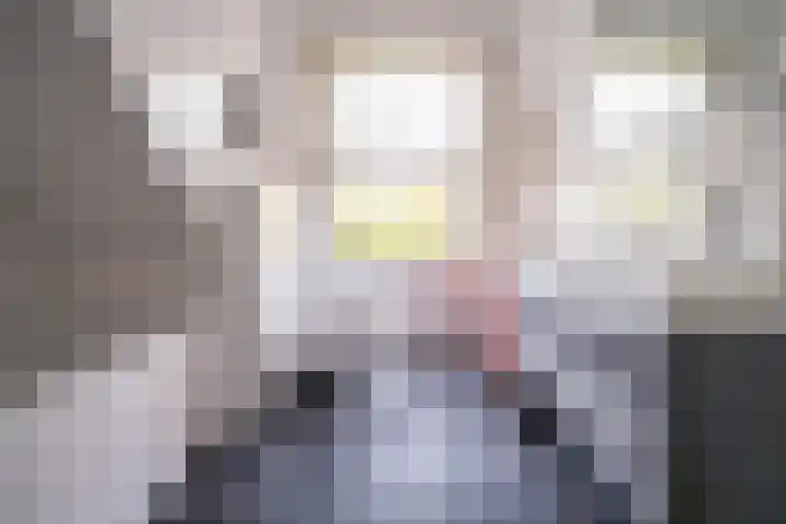 Laan van Nieuw Oosteinde 316 Voorburg thumbnail 36