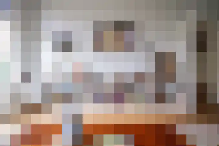 Laan van Nieuw Oosteinde 316 Voorburg thumbnail 5