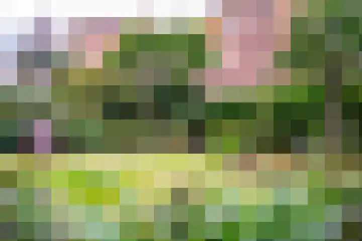 Laan van Nieuw Oosteinde 316 Voorburg thumbnail 7