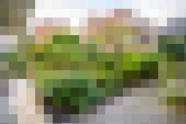Laan van Nieuw Oosteinde 316 Voorburg thumbnail 8