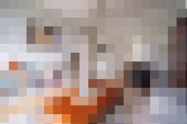 Laan van Nieuw Oosteinde 316 Voorburg thumbnail 9