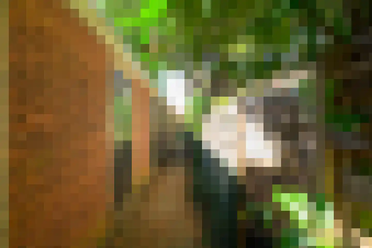 Laan van Nieuw Oosteinde 32 Voorburg thumbnail 23
