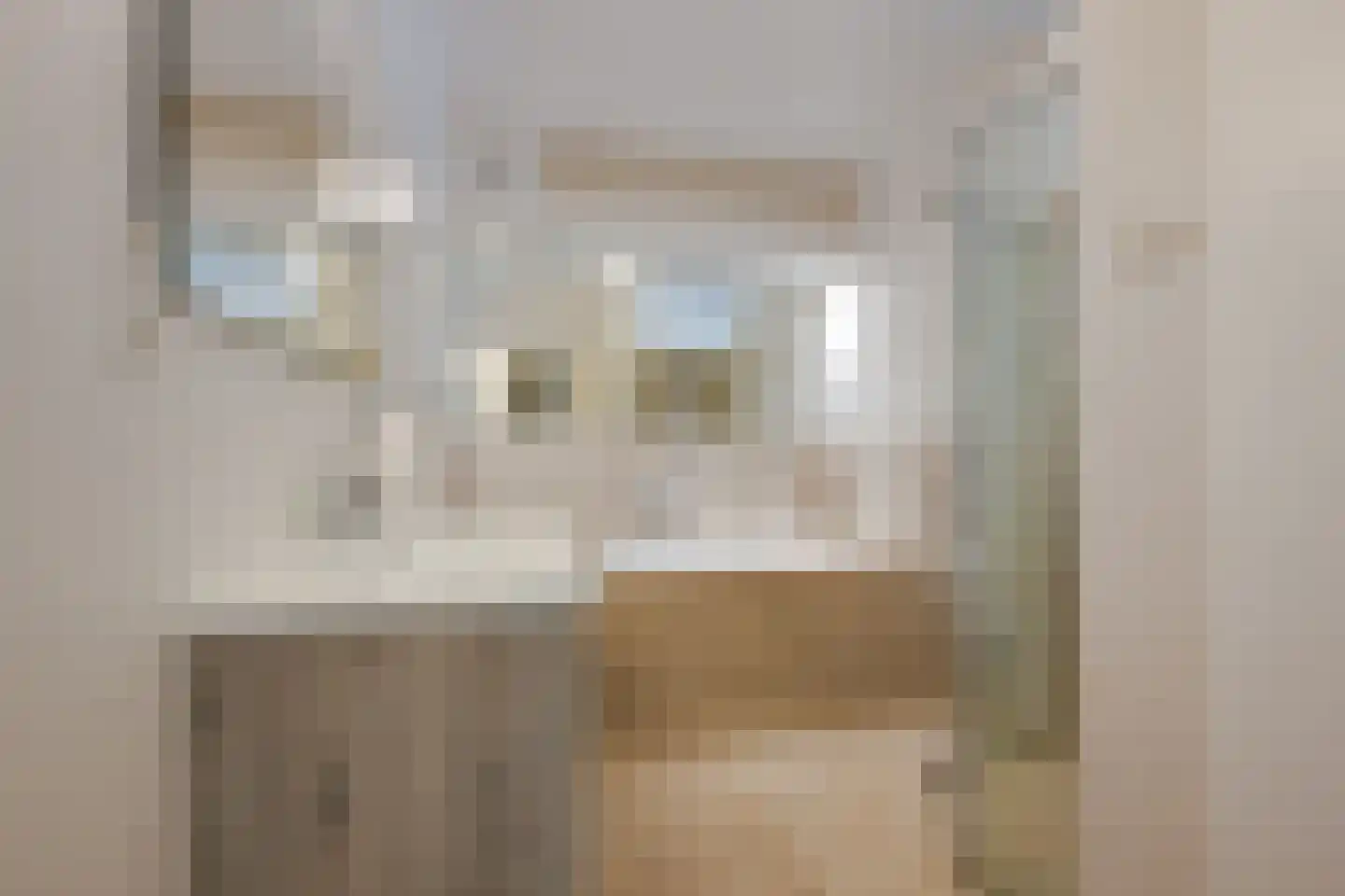 Laan van Nieuw Oosteinde 32 Voorburg thumbnail 30