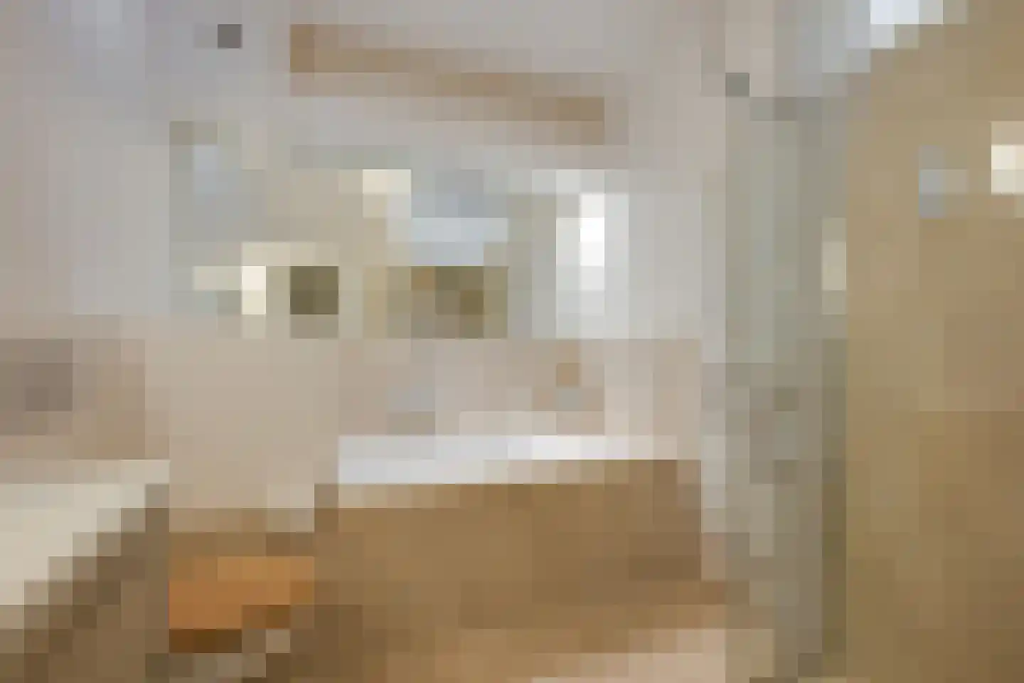 Laan van Nieuw Oosteinde 32 Voorburg thumbnail 31
