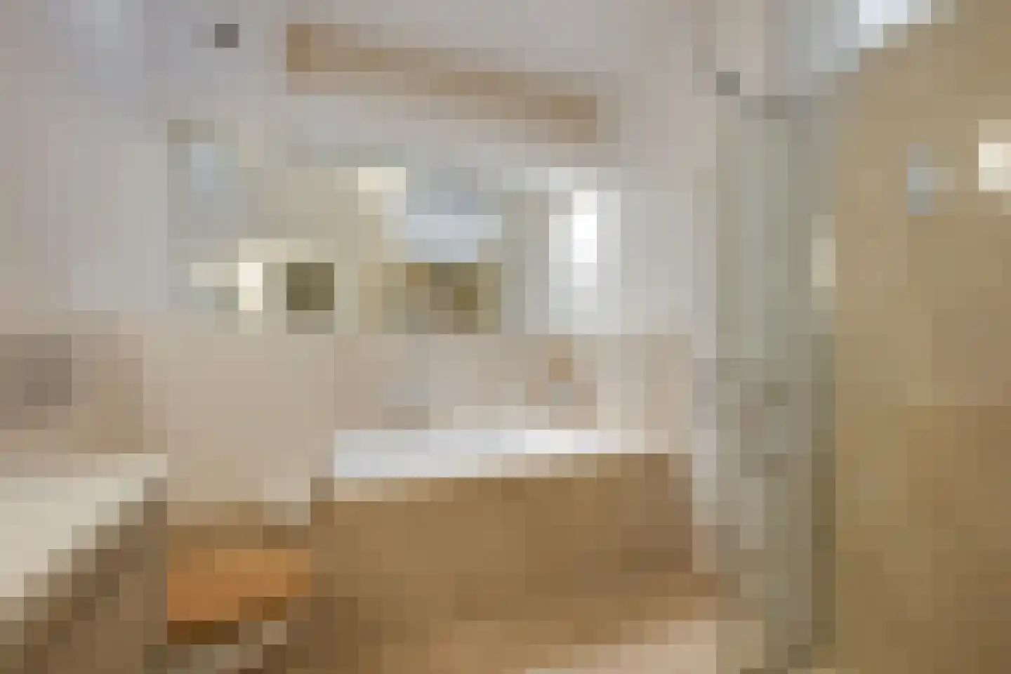 Laan van Nieuw Oosteinde 32 Voorburg thumbnail 31