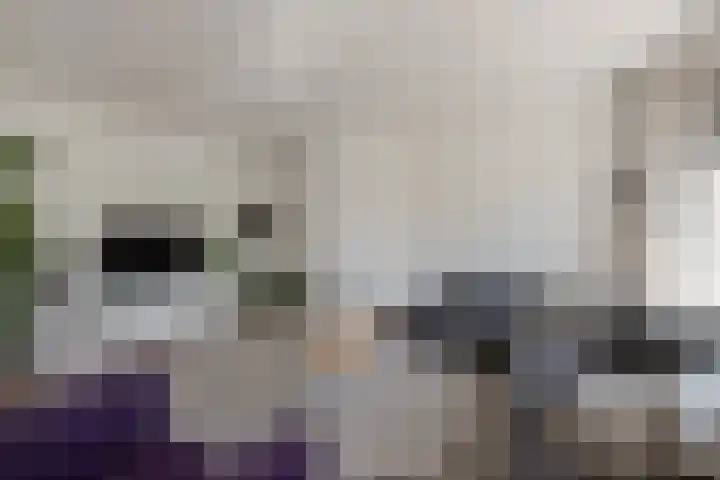 Laan van Nieuw Oosteinde 326 Voorburg thumbnail 12