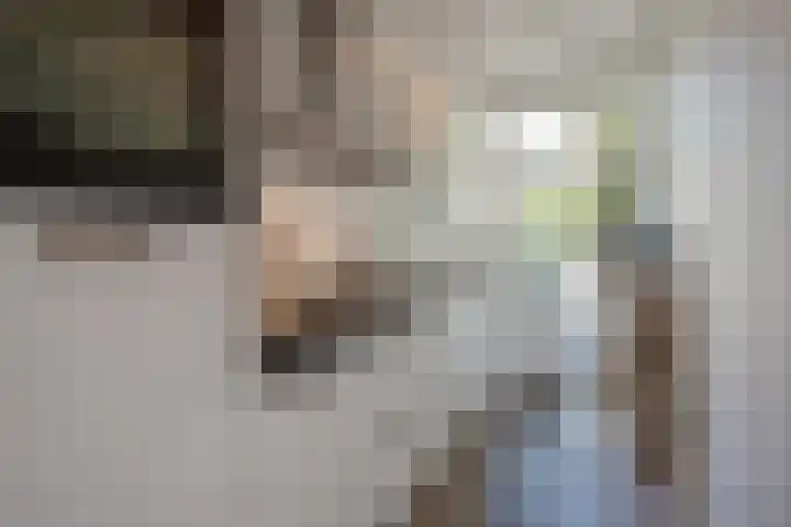 Laan van Nieuw Oosteinde 326 Voorburg thumbnail 15