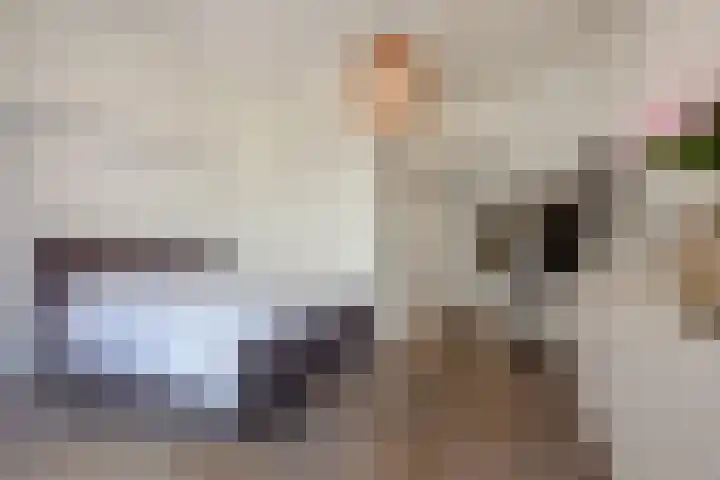 Laan van Nieuw Oosteinde 326 Voorburg thumbnail 22