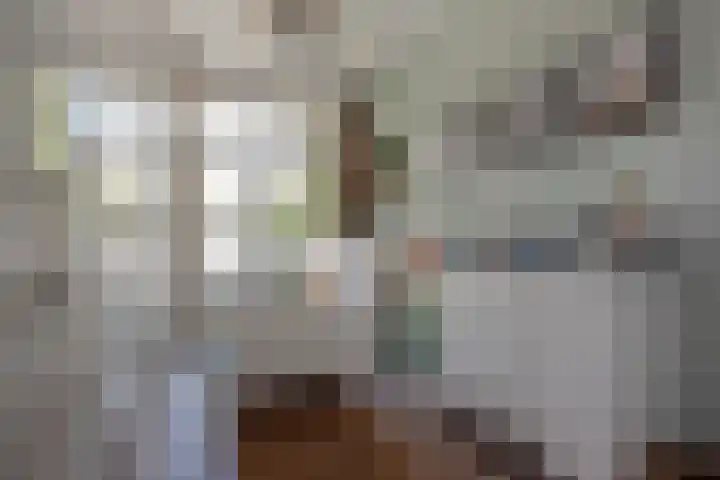 Laan van Nieuw Oosteinde 326 Voorburg thumbnail 24