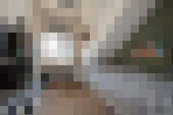 Laan van Nieuw Oosteinde 326 Voorburg thumbnail 25