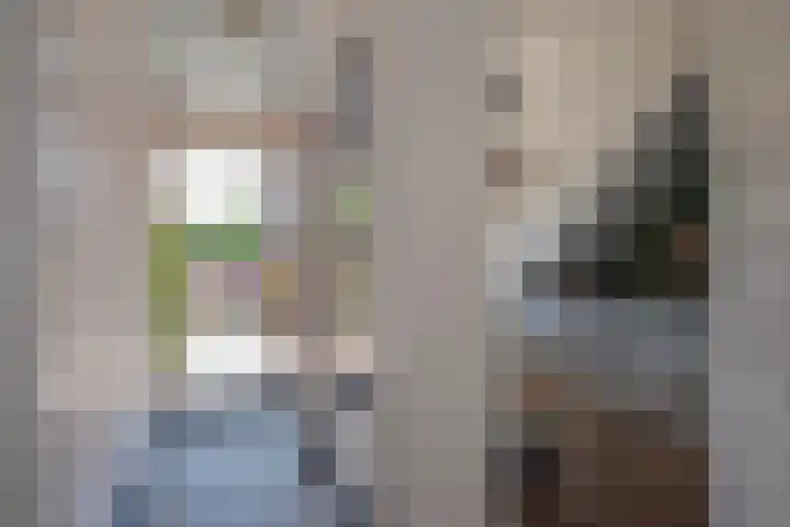 Laan van Nieuw Oosteinde 326 Voorburg thumbnail 27