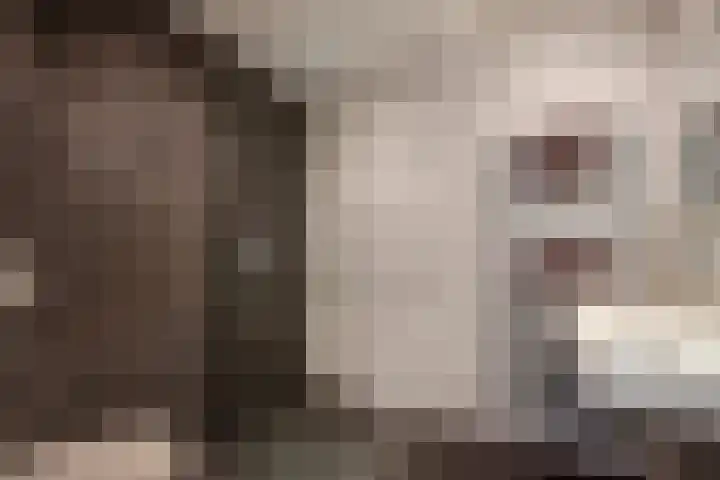 Laan van Nieuw Oosteinde 326 Voorburg thumbnail 28