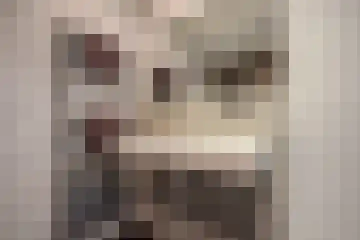 Laan van Nieuw Oosteinde 326 Voorburg thumbnail 29