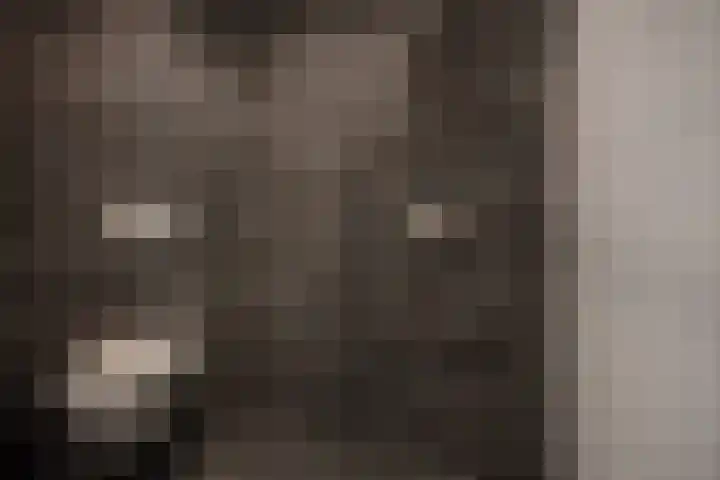 Laan van Nieuw Oosteinde 326 Voorburg thumbnail 30