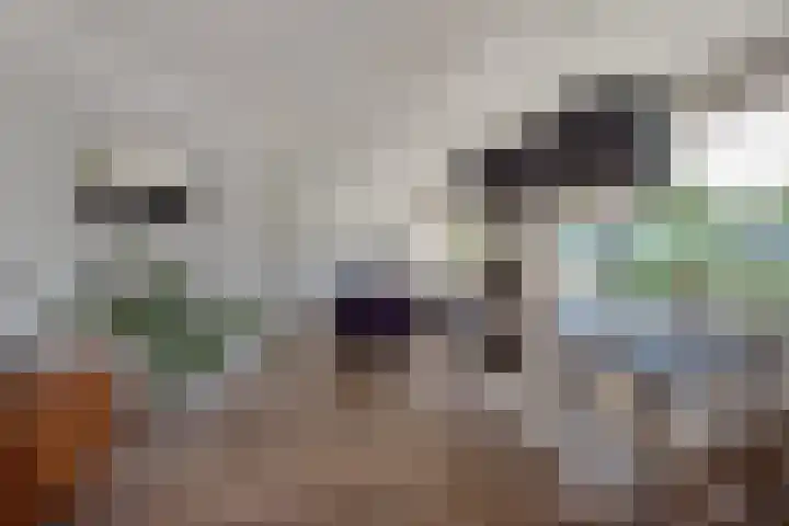 Laan van Nieuw Oosteinde 326 Voorburg thumbnail 8
