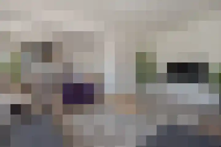 Laan van Nieuw Oosteinde 326 Voorburg thumbnail 9