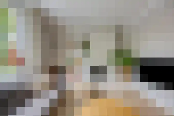 Laan van Nieuw Oosteinde 358 Voorburg thumbnail 10