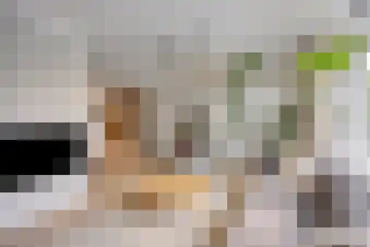 Laan van Nieuw Oosteinde 358 Voorburg thumbnail 12