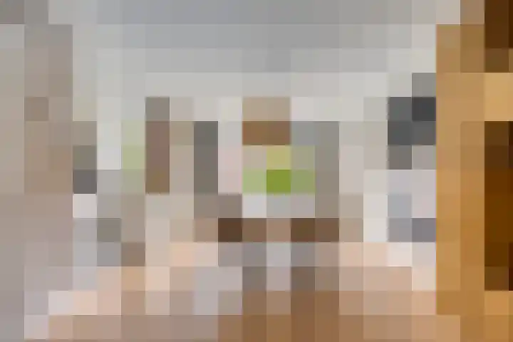 Laan van Nieuw Oosteinde 358 Voorburg thumbnail 13
