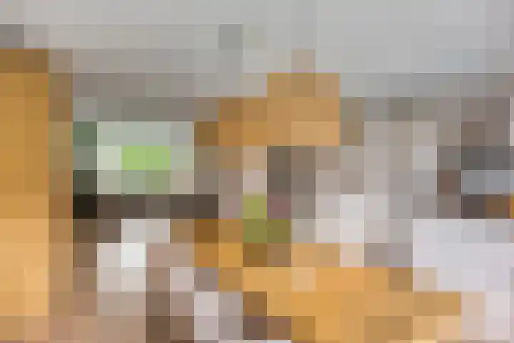 Laan van Nieuw Oosteinde 358 Voorburg thumbnail 16