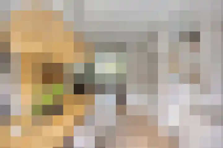 Laan van Nieuw Oosteinde 358 Voorburg thumbnail 17