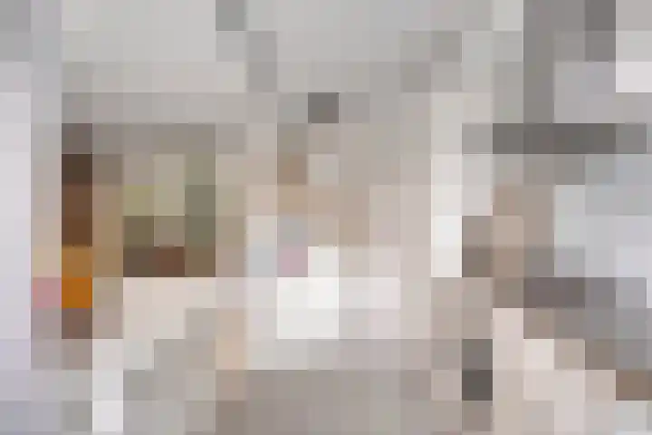 Laan van Nieuw Oosteinde 358 Voorburg thumbnail 21