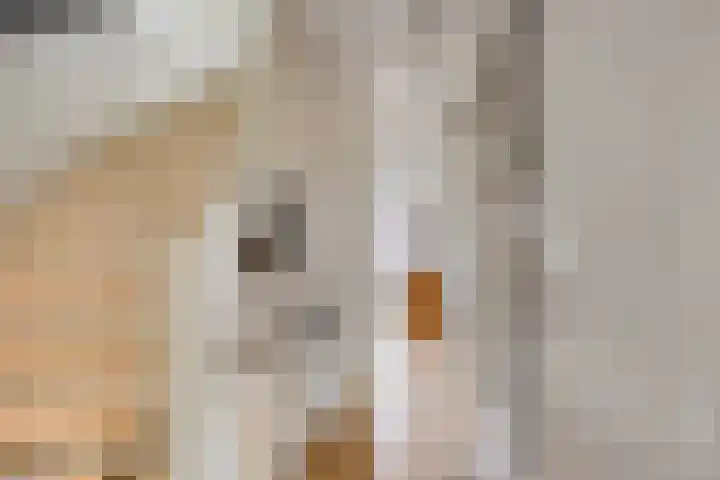 Laan van Nieuw Oosteinde 358 Voorburg thumbnail 23